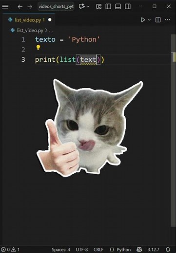 Do you know what the list() function is used for in Python?