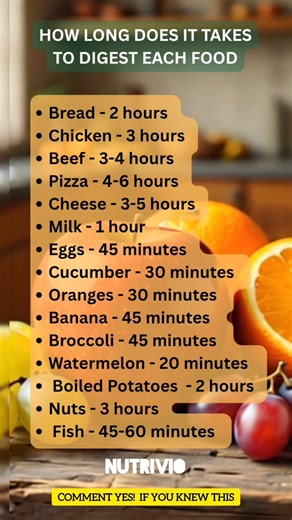 Food Digestion Timeline: What Stays Longer in Your Stomach? Hours Each Food Take to Digest? #health