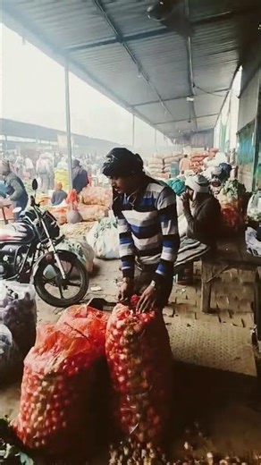 Agra sabji Mandi bhav #vegetablemarket vegitablemarket #sabjimandi #latest