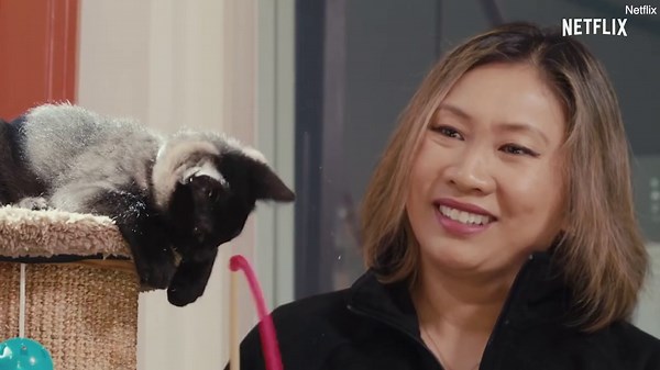 Inside The Mind Of A Cat: Netflix releases adorable documentary