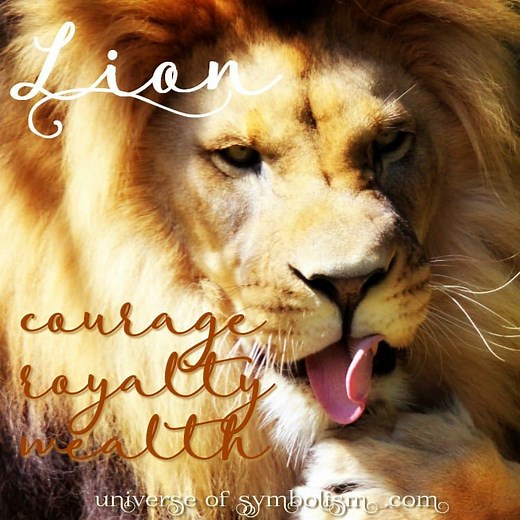 Lion Symbolism & Lion Meaning | 9 Spiritual Meanings of the Lion