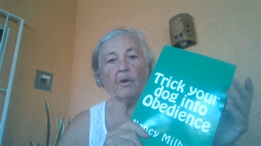 Amazon link in the comments | The Logical Dog