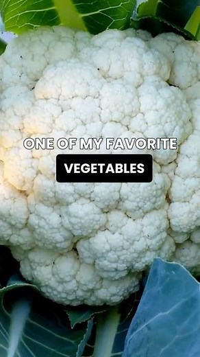 How to Grow Cauliflower in Your Garden | Fall Gardening Tips 🌱
