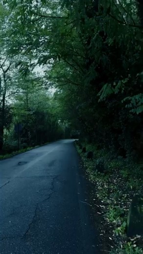 Halsey "Colors" | Newpopmusic | Facebook