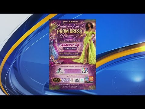 Butterfly Effect Prom Dress Interview
