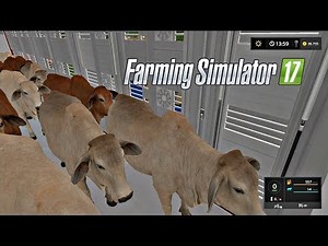 Brazilian Cows Zebu Cattle | Platinum Expansion DLC | Farming Simulator 17