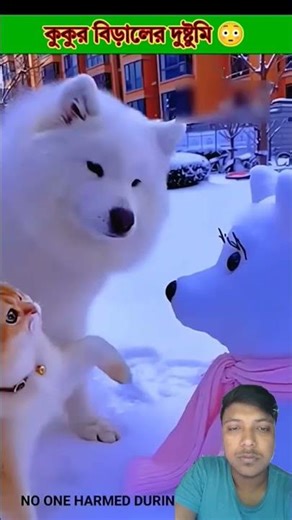 Dog and cat mischief 😳#facts #cartoon #shark #shortsfeed #shortsviral #shorts #subscribe #savesharks