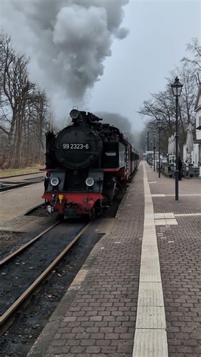 Ausfahrt Molli Lok 992323-6 - 22.03.26 Bahnhof Heiligendamm Richtung Kühlungsborn #steamtrain #train