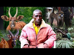 THE WITCHES FOREST: Hunter Encounter A Real Witch, Shares How He Slay Bongo - Man Narrate!