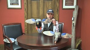 2.4K views · 32 reactions | The ((NEW)) Elite Series Mini Mallard Drake is a smaller, more compact version of the King Mallard featuring a drop in battery holder with all working components completely independent of the flexible body. | Mojo TV | Facebook