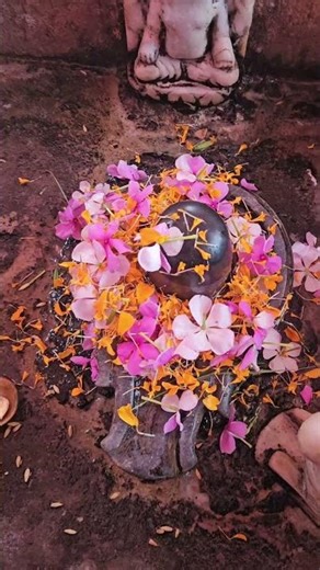 🙏Har Har mahadev 🙏 #status #shorts