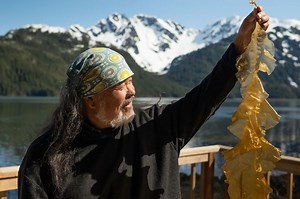 Hadapi Air Memanas, Nelayan Alaska Mulai Pertanian Regeneratif di Laut | National Geographic