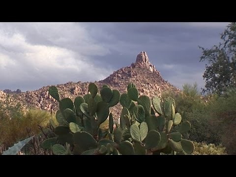 Nature: Arizona's Sonoran Desert