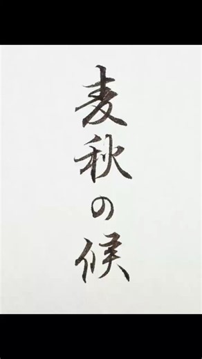 麦秋の候（ばくしゅうのこう）を筆ペンで書きました。「秋」という字が入っていますが、麦の収穫期である初夏を表す季語です。手紙の時候のあいさつとしても使われます。#書道 #筆ペン #時候の挨拶