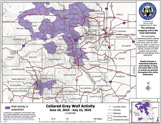 Where Colorado’s collared gray wolves were in July