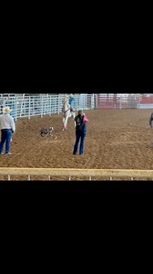 Goat tying #goattying #rodeo #cowboy | Patton Ranch