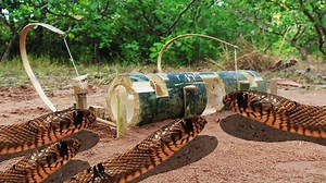 13K views · 92 reactions | Fantastic Creative Snake Trap Using Pipes Bamboo - Method Unique Snake Trap  | HUBplay.co Aventuras HD | Facebook