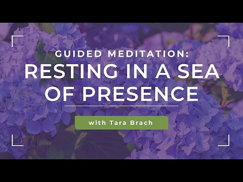 Guided Meditation: Resting in a Sea of Presence with Tara Brach