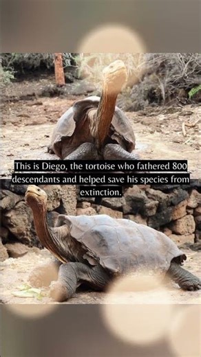 10 Shocking Good News Stories You Haven't Heard – Be Positive and Change Your Perspective! #earth