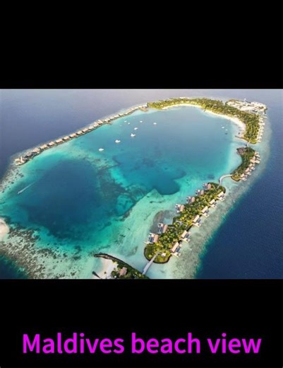 Dancing through life, one clumsy step at a time.