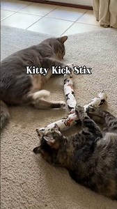 The Ultimate Catnip Kicker Your Cat Needs! 🐾