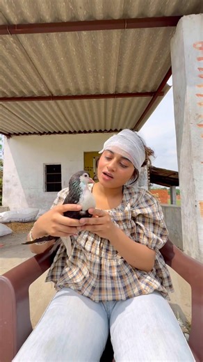 part-2😲लड़की का सिर फाड़ दिया😭#video #training #dosti ❤️🥰#kabootar ❤️#love #kabootar #video