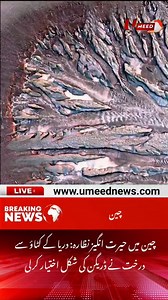 3.2K views · 2.8K reactions | Amazing sight in China: River erosion causes tree to take the shape of a dragon - Umeed News #UmeedNews | Umeed News | Facebook