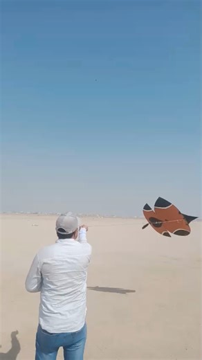 24K views · 943 reactions | #kiteflying | Kite Flying | Facebook