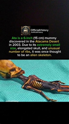 Skeleton of Atacama 👽 #shorts