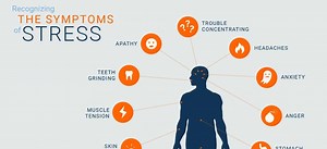 The Ultimate Guide To Stress Management