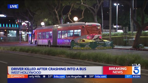 Motorist killed in crash involving West Hollywood Metro bus