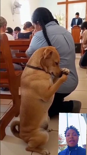 Beautiful moment of dog praying and worshipping #viral