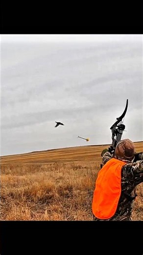 Pure skill, no noise — pheasant hunting with bow like a pro. #birdhunting #hunting #shorts