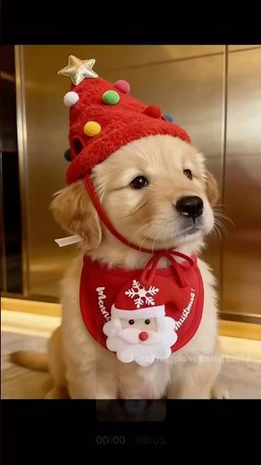 Merry Christmas! The Cutest Dogs in Santa Costumes & Holiday Cheer Compilation🎄🐶❤️