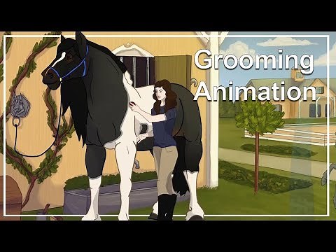 Horse Grooming // Cartoon Animation
