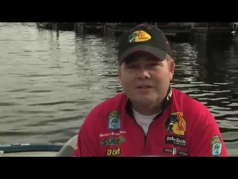 How to Identify the 3 Different Bass Species