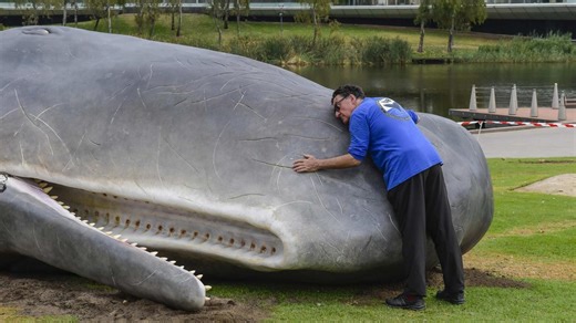 \"Beached whale\" in Glenelg turns out to be art installation