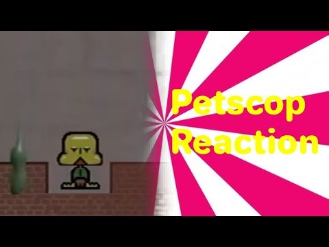 Petscop 15 Reaction