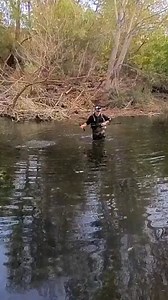 38K views · 1.6K reactions | 9 jours de pêche pour le capturer. Hart kombat js & hart bloody wild cast. #catfish #fishing #fish | Kstar Fishing | Facebook