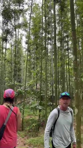 Off the Beaten Path in Pu Luong | Bamboo Jungle Trekking #slowtravel #puluong #trekking