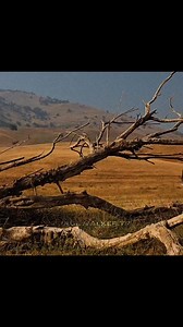 357K views · 31K reactions | When family means ride or die…Paul Walker and the crew risked it all to save Dom from prison.One of the most legendary rescues in Fast history.This is not just a scene – it’s a statement.#FastFamilyForever #FastAndFurious #PaulWalker #VinDiesel #BrianOConnor #DomToretto #RideOrDie #FastFamily #FastSaga #LegendLivesOn #FastRescue #PrisonBreakScene #NeverForget #Fast4Life #ActionScene #IconicMoment #FamilyFirst | Fast Furious Family - FFF | Facebook