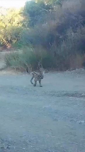 193K views · 10K reactions | A latest addition to Orange County’s...