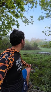 The Turtle Dove's gentle purr is an evocative sound of summer, but has become increasingly rare following rapid and sustained population declines. #turtledove | Get Wild