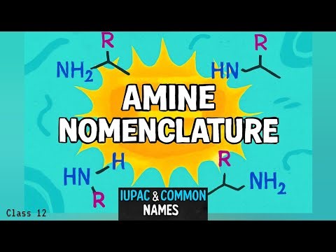 Class 12 Amines Nomenclature | Boards, NEET & JEE Prep