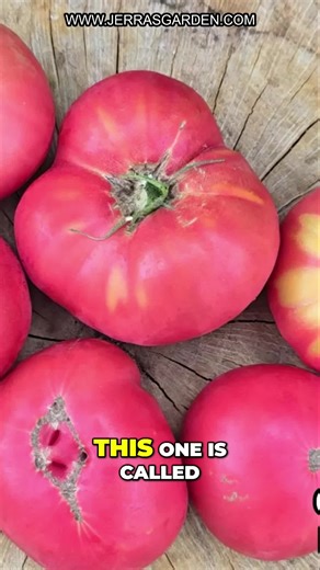 Jerra's Garden on TikTok