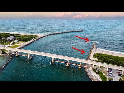 Sebastian Inlet Fish Frenzy! Fishing with Live Bait 🐟 🎣 (+40" Snook)