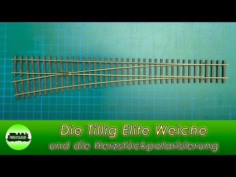 (117) Die Tillig Elite Weiche und die Herzstückpolarisierung (900 Abonnenten Spezial)