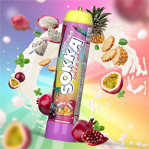 [Hot Item] Sokka Flavors Tropical Fruit 640g Gas Cylinder Whipped 99.9% Purity Cream Charger with CE