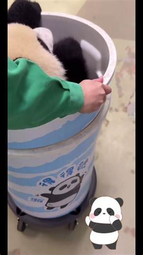 🐼#fofo #fy #pandas #tiktokviral #tiktok