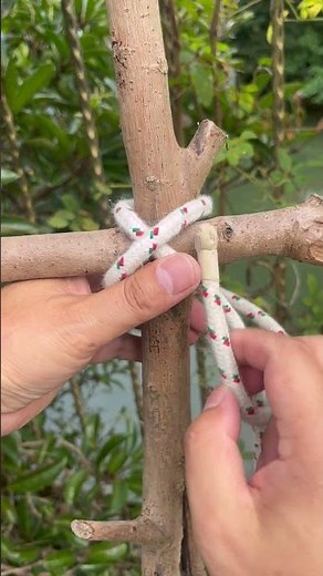 The Best Bamboo Lashing Knot!!